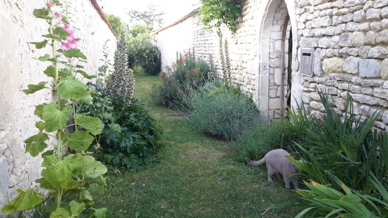 לינה וארוחת בוקר Saint-Martin-de-Ré Les Jardins De Clerjotte מראה חיצוני תמונה